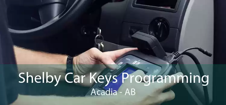 Shelby Car Keys Programming Acadia - AB