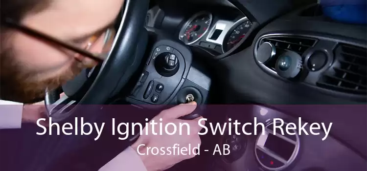 Shelby Ignition Switch Rekey Crossfield - AB