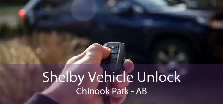 Shelby Vehicle Unlock Chinook Park - AB