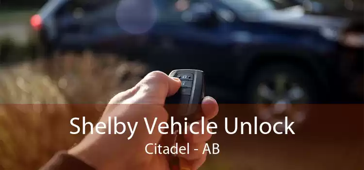 Shelby Vehicle Unlock Citadel - AB