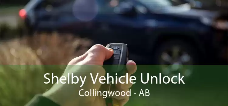 Shelby Vehicle Unlock Collingwood - AB