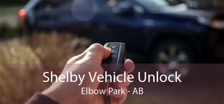 Shelby Vehicle Unlock Elbow Park - AB