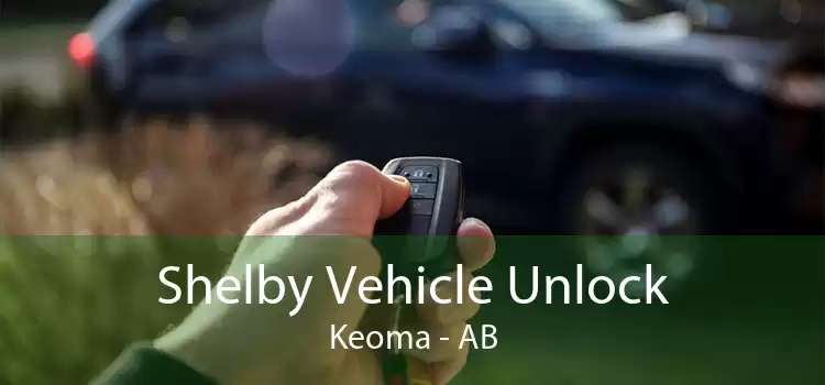 Shelby Vehicle Unlock Keoma - AB