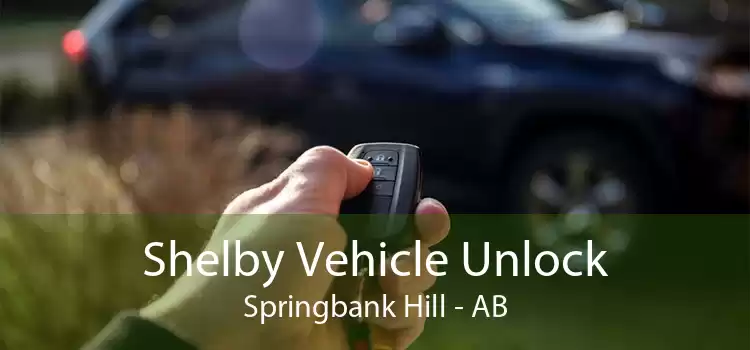 Shelby Vehicle Unlock Springbank Hill - AB