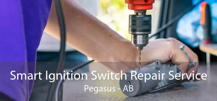 Smart Ignition Switch Repair Service Pegasus - AB
