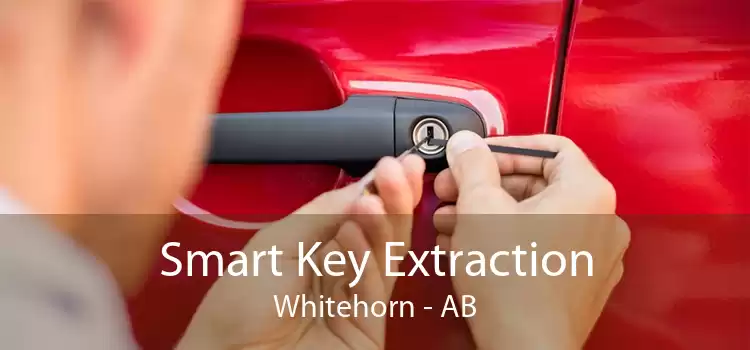 Smart Key Extraction Whitehorn - AB
