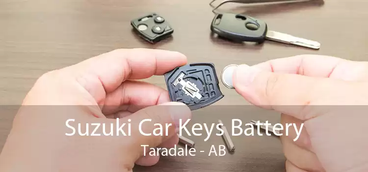 Suzuki Car Keys Battery Taradale - AB