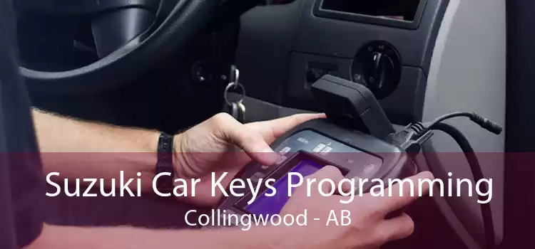 Suzuki Car Keys Programming Collingwood - AB