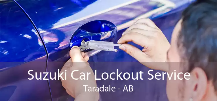 Suzuki Car Lockout Service Taradale - AB