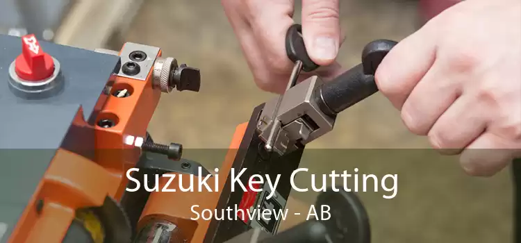Suzuki Key Cutting Southview - AB