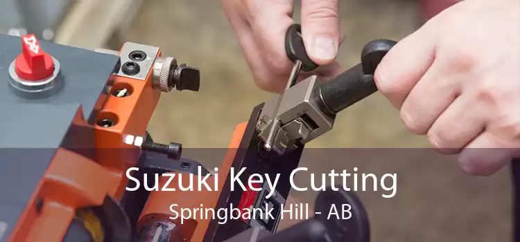 Suzuki Key Cutting Springbank Hill - AB