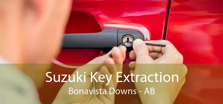 Suzuki Key Extraction Bonavista Downs - AB