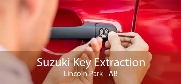 Suzuki Key Extraction Lincoln Park - AB