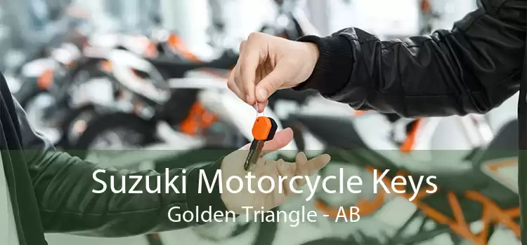 Suzuki Motorcycle Keys Golden Triangle - AB