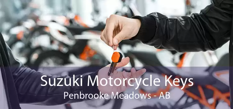 Suzuki Motorcycle Keys Penbrooke Meadows - AB