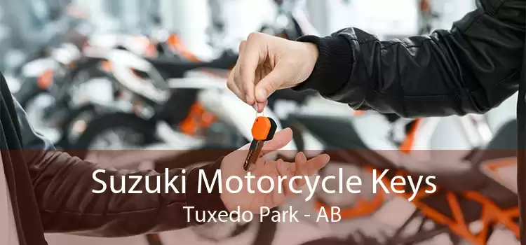 Suzuki Motorcycle Keys Tuxedo Park - AB