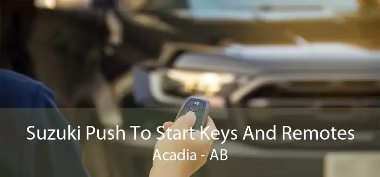 Suzuki Push To Start Keys And Remotes Acadia - AB