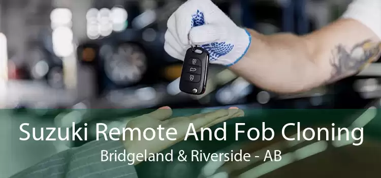 Suzuki Remote And Fob Cloning Bridgeland & Riverside - AB