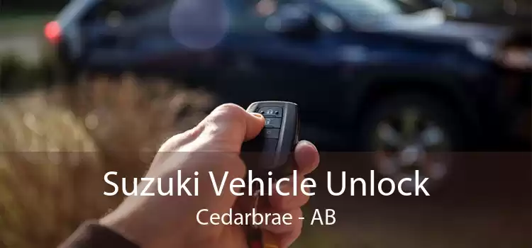 Suzuki Vehicle Unlock Cedarbrae - AB