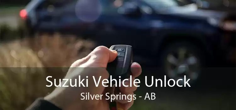 Suzuki Vehicle Unlock Silver Springs - AB