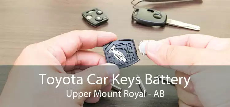 Toyota Car Keys Battery Upper Mount Royal - AB