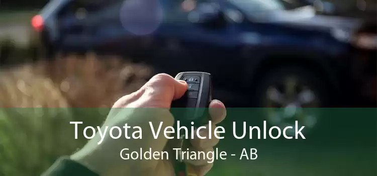 Toyota Vehicle Unlock Golden Triangle - AB
