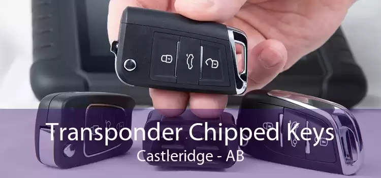 Transponder Chipped Keys Castleridge - AB