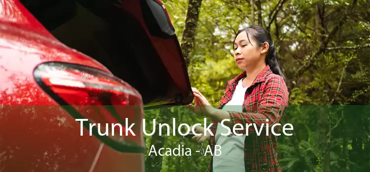 Trunk Unlock Service Acadia - AB