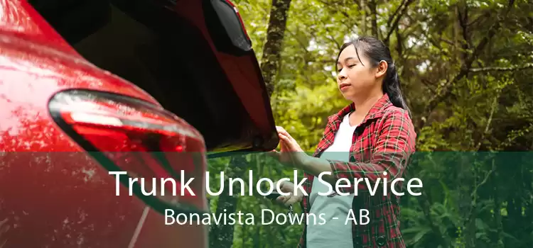 Trunk Unlock Service Bonavista Downs - AB