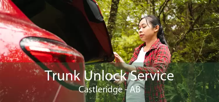 Trunk Unlock Service Castleridge - AB