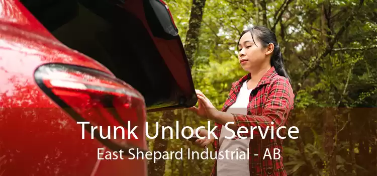 Trunk Unlock Service East Shepard Industrial - AB