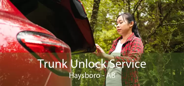 Trunk Unlock Service Haysboro - AB