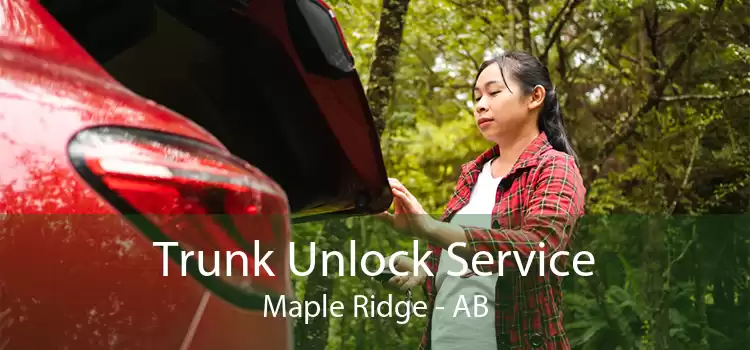 Trunk Unlock Service Maple Ridge - AB
