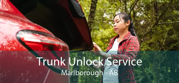 Trunk Unlock Service Marlborough - AB