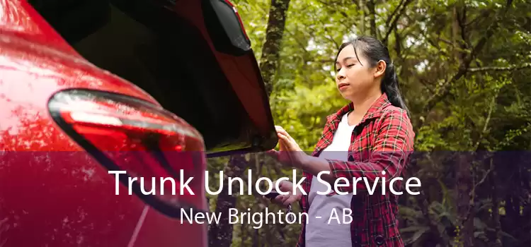 Trunk Unlock Service New Brighton - AB