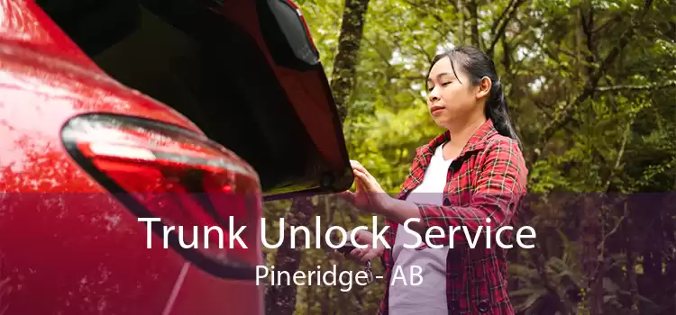 Trunk Unlock Service Pineridge - AB