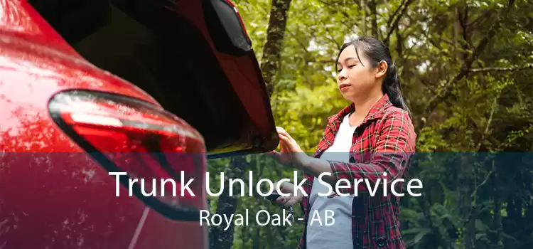 Trunk Unlock Service Royal Oak - AB