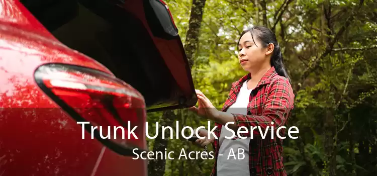 Trunk Unlock Service Scenic Acres - AB