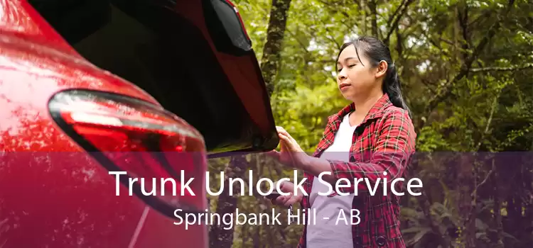 Trunk Unlock Service Springbank Hill - AB