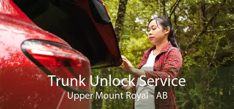 Trunk Unlock Service Upper Mount Royal - AB