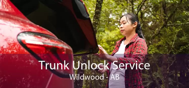 Trunk Unlock Service Wildwood - AB