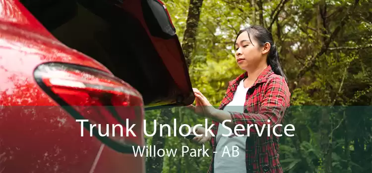 Trunk Unlock Service Willow Park - AB