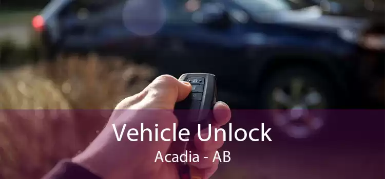 Vehicle Unlock Acadia - AB