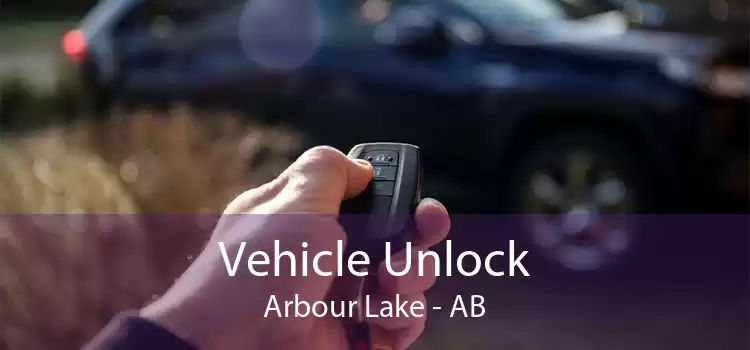 Vehicle Unlock Arbour Lake - AB
