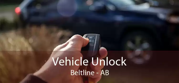 Vehicle Unlock Beltline - AB