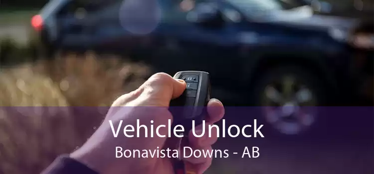 Vehicle Unlock Bonavista Downs - AB