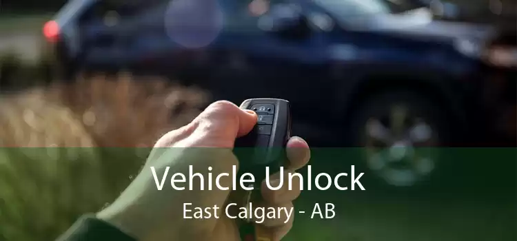 Vehicle Unlock East Calgary - AB