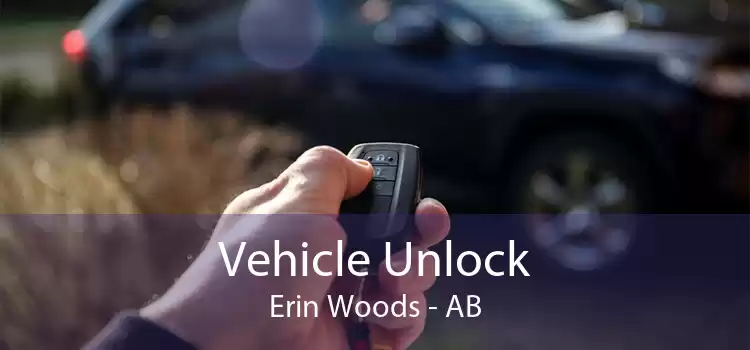 Vehicle Unlock Erin Woods - AB