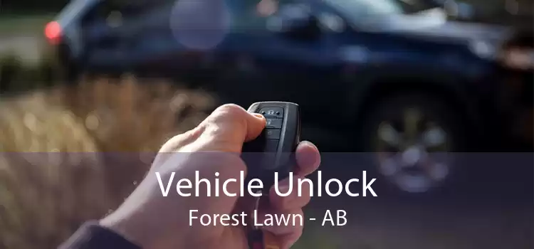 Vehicle Unlock Forest Lawn - AB