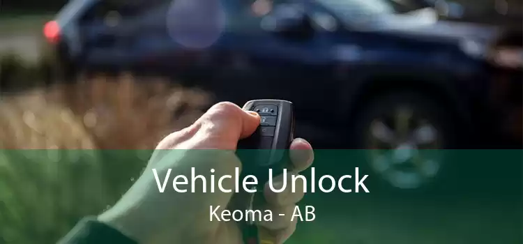 Vehicle Unlock Keoma - AB